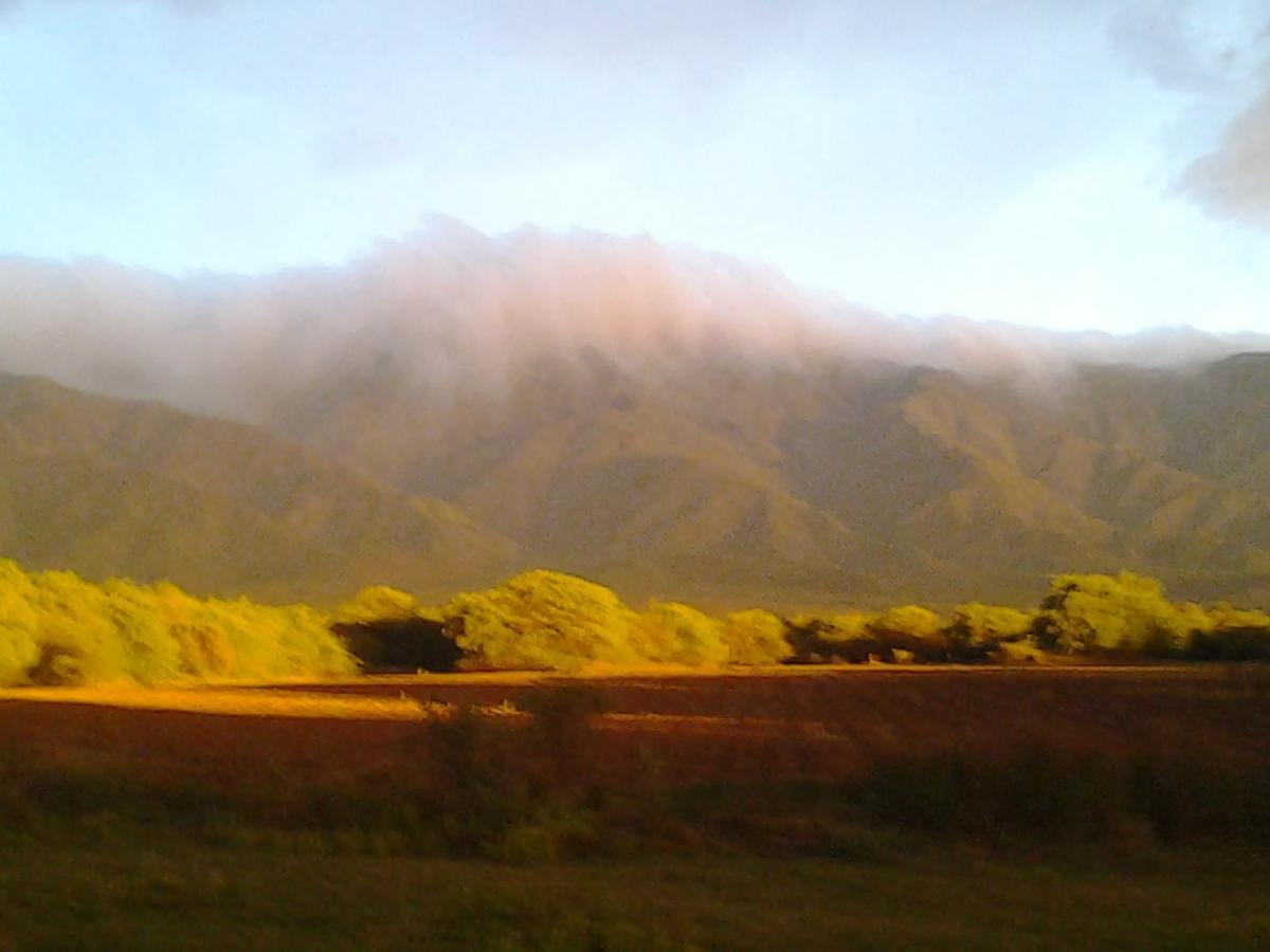 Complejo Valle De Las Rosas Villa Villa Las Rosas Bagian luar foto